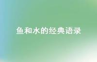 鱼和水的经典语录(精选44句)