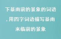 用四字词语描写暴雨来临前的景象(100句) 用四字词语描写暴雨来临前的景象(100句)