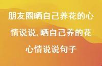 晒自己养的花心情说说句子(100句)