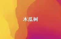 木瓜树47句汇总 木瓜树47句汇总