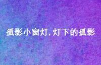 灯下的孤影【100句文案】 灯下的孤影【100句文案】