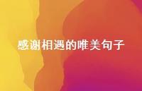 感谢相遇的唯美句子71句汇总