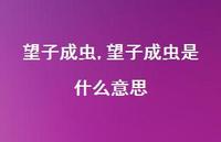 望子成虫是什么意思【精品文案100句】 望子成虫是什么意思【精品文案100句】