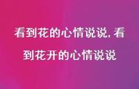 看到花开的心情说说【100句文案】 看到花开的心情说说【100句文案】
