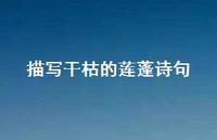 描写干枯的莲蓬诗句(精选75句)