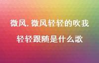 微风轻轻的吹我轻轻跟随是什么歌【100句文案精选】