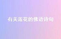 有关莲花的佛语诗句(精选39句)