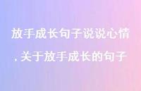 关于放手成长的句子(100句) 关于放手成长的句子(100句)