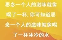 你可知道思念一个人的滋味就像喝了一杯冰冷的水(100句)