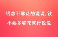 钱不要多够花就行说说(100句)