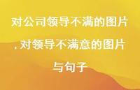 对领导不满意的图片与句子(100句) 对领导不满意的图片与句子(100句)