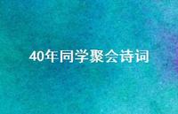 40年同学聚会诗词(精选41句)