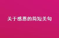 关于感恩的简短美句61句汇总 关于感恩的简短美句61句汇总