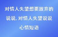 对情人失望说说心情短语(100句) 对情人失望说说心情短语(100句)
