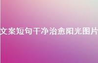 文案短句干净治好阳光图片74句汇总 文案短句干净治好阳光图片74句汇总