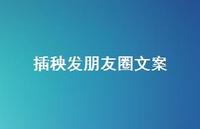 插秧发朋友圈文案【100句精选短句合集】