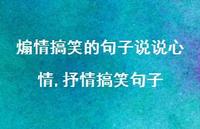 抒情搞笑句子(100句)