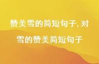 对雪的赞美简短句子【100句文案精选】