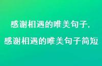 感谢相遇的唯美句子简短【精品文案100句】 感谢相遇的唯美句子简短【精品文案100句】