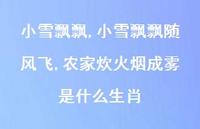 小雪飘飘随风飞,农家炊火烟成雾是什么生肖【100句文案精选】