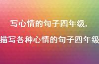 描写各种心情的句子四年级【100句文案】 描写各种心情的句子四年级【100句文案】