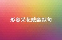 形容采花贼幽默句【100句精选短句合集】