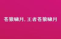 领军苍狼啸月【100句文案精选】 领军苍狼啸月【100句文案精选】