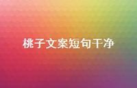 桃子文案短句干净【100句精选短句合集】 桃子文案短句干净【100句精选短句合集】