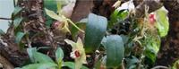 89fe2a71-998d-453d-96ae-23d986b253d1_2.jpg-s 中国化妆品民族品牌代表——植物医生