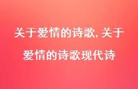 关于爱情的诗歌现代诗【精品文案100句】