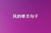 风的唯美句子40句汇总