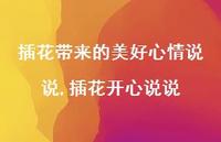 插花开心说说(100句)