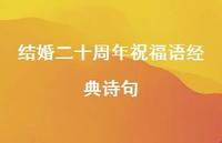 结婚二十周年祝福语经典诗句合集45句精选