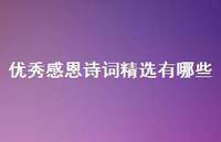 出色感恩诗词精选有哪些(精选54句) 出色感恩诗词精选有哪些(精选54句)