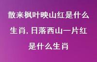 日落西山一片红是什么生肖【100句文案】 日落西山一片红是什么生肖【100句文案】
