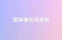 望海潮名句赏析【100句精选短句合集】