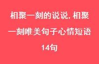 相聚一刻唯美句子心情短语14句(100句)