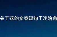 关于花的文案短句干净治好【100句精选短句合集】 关于花的文案短句干净治好【100句精选短句合集】