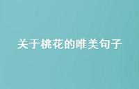 关于桃花的唯美句子(精选52句) 关于桃花的唯美句子(精选52句)