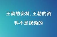 王勃的资料不是视频的【精品文案100句】