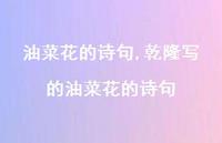 乾隆写的油菜花的诗句【100句文案精选】 乾隆写的油菜花的诗句【100句文案精选】