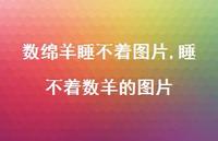 睡不着数羊的图片(100句)