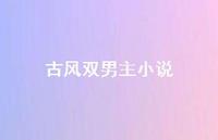 古风双男主小说【100句精选短句合集】