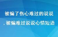 被骗难过说说心情短语(100句) 被骗难过说说心情短语(100句)