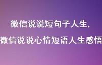 微信说说心情短语人生感悟(100句) 微信说说心情短语人生感悟(100句)