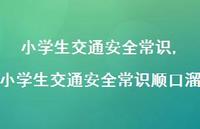 小学生交通较为可靠常识顺口溜【100句文案精选】