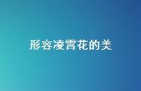 形容凌霄花的美(精选68句) 形容凌霄花的美(精选68句)