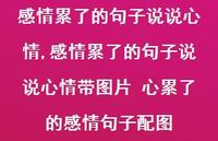 感情累了的句子说说心情带图片 心累了的感情句子配图【100句文案】 感情累了的句子说说心情带图片 心累了的感情句子配图【100句文案】