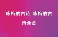 咏梅的古诗全首【精品文案100句】