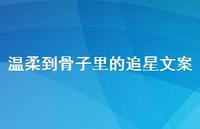 温柔到骨子里的追星文案44句汇总